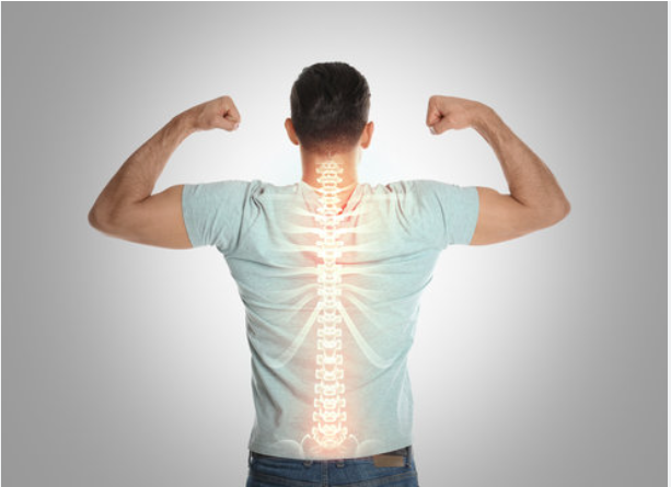 Vitamin D3, K2, Calcium & Magnesium: Why You Need All Four for Bone Health